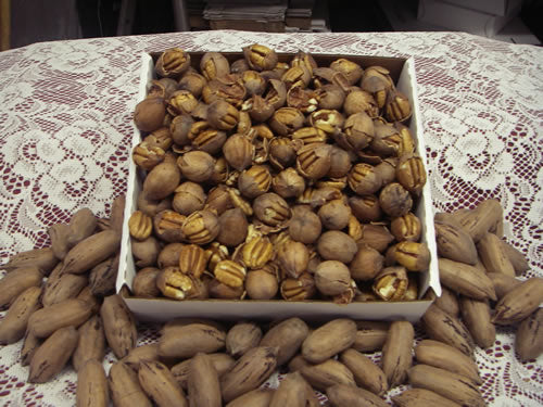 3 lb Box Cracked Pecans